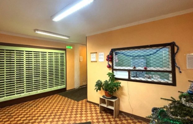 Image 12 of 14