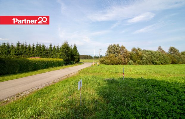 Image 9 of 12