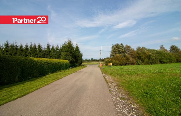 Image 7 of 12