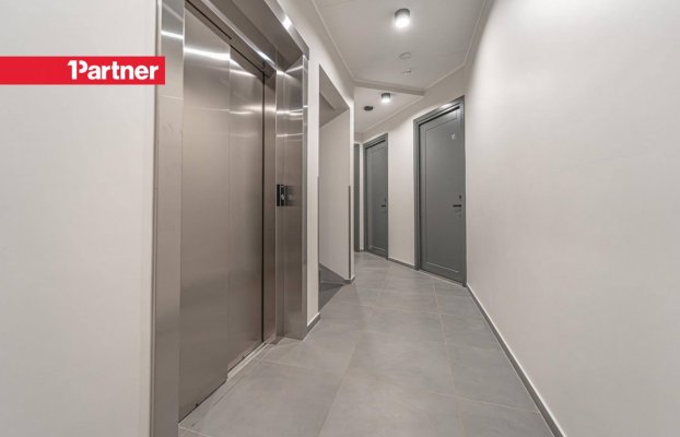Pilt 17 of 21