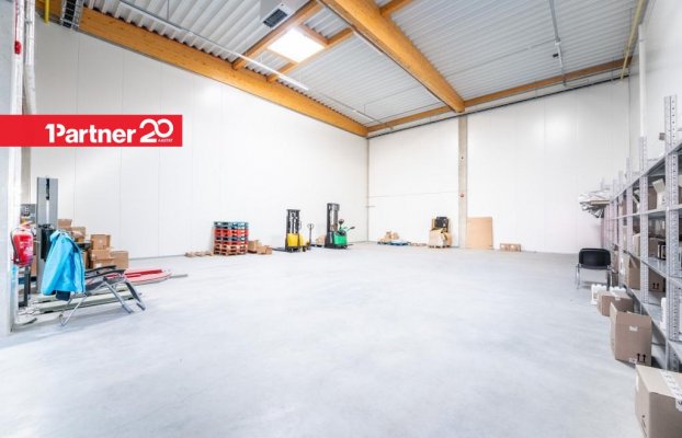 Image 8 of 21