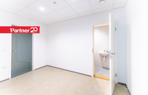 Image 11 of 21