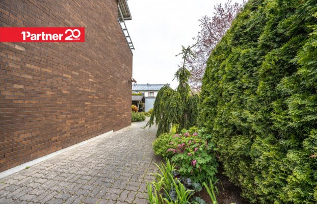 Image 10 of 46