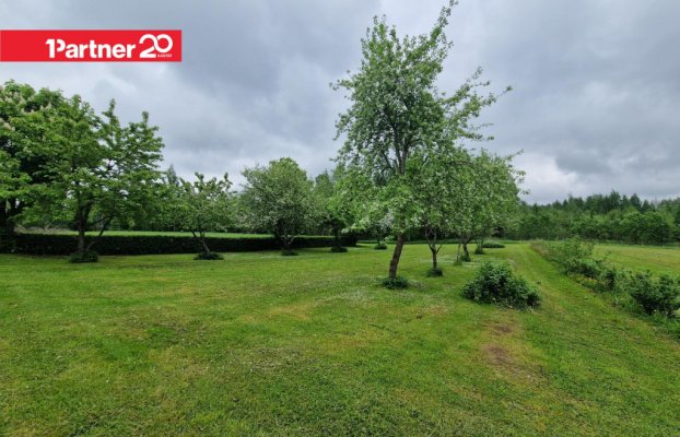 Image 19 of 27