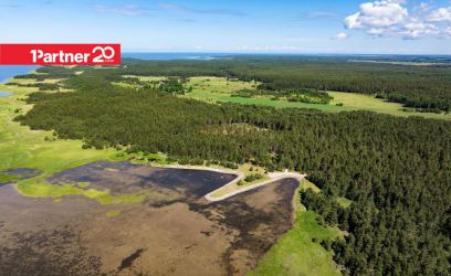 Image of PRIVAATNE PARADIIS MERE ÄÄRES – EKSKLUSIIVNE 16,2 HA MAA METSAGA