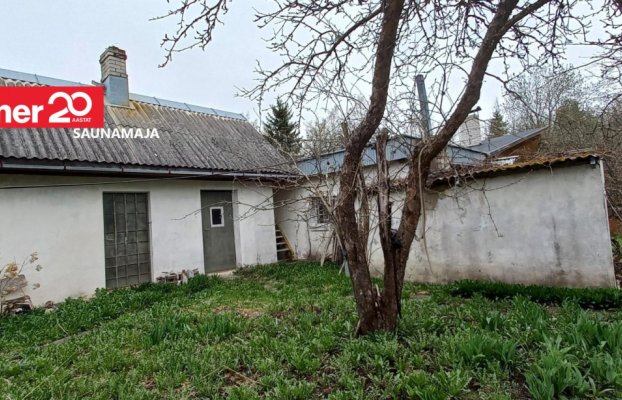 картина 17 of 35