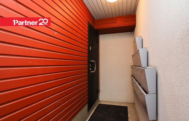 Image 8 of 12
