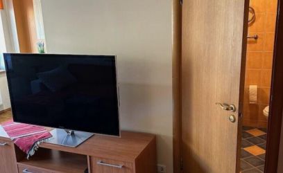 Image of Puiestee tn 43