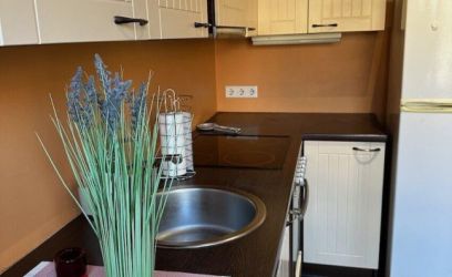 Image of Puiestee tn 43