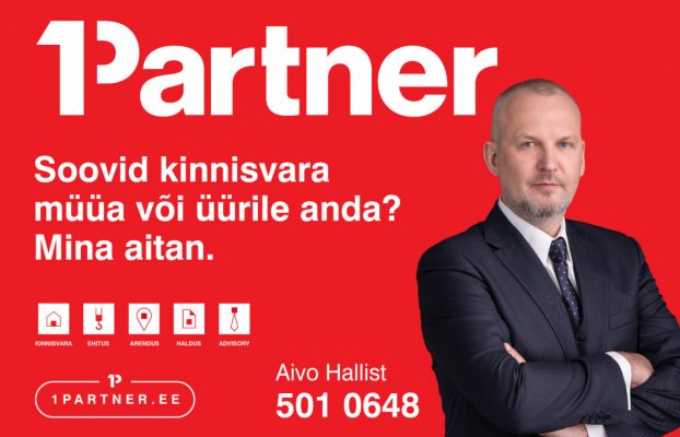 картина 19 of 19