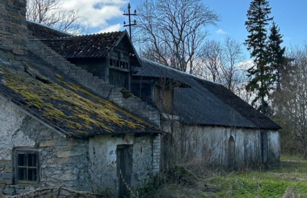 картина 2 of 19