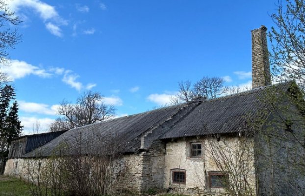 картина 4 of 19