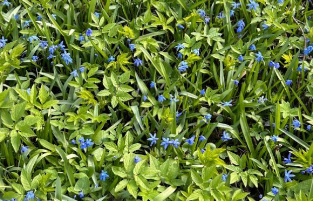 картина 8 of 19