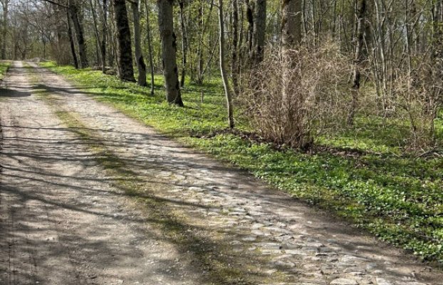 картина 16 of 19