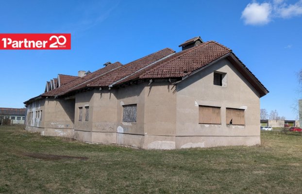 картина 10 of 12