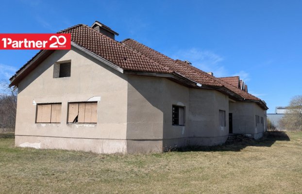 картина 11 of 12