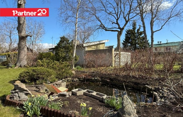 картина 33 of 38