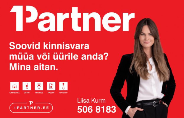 картина 38 of 38