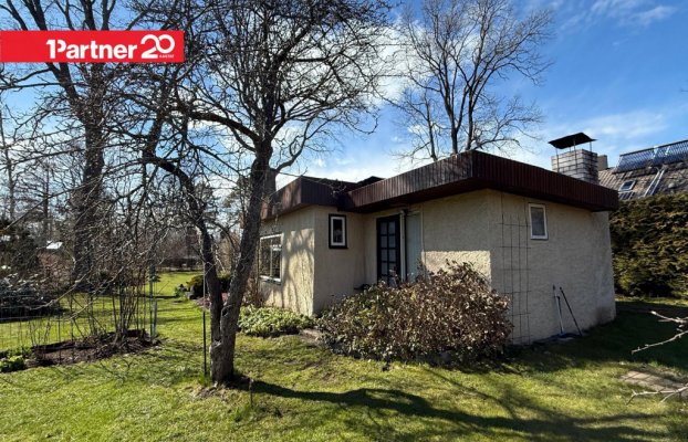 картина 6 of 38