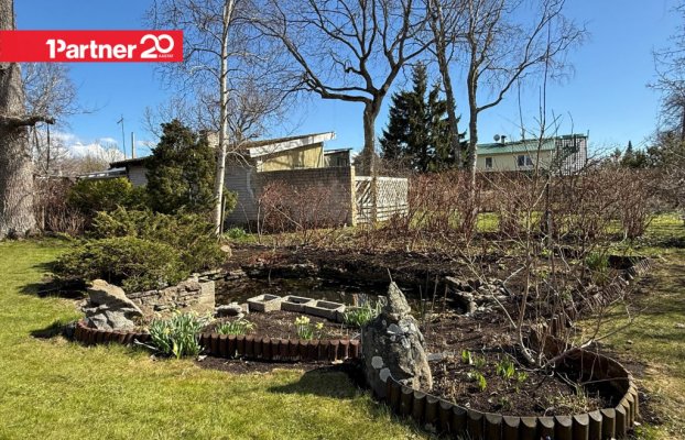 картина 31 of 38