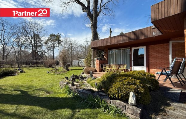 картина 5 of 38