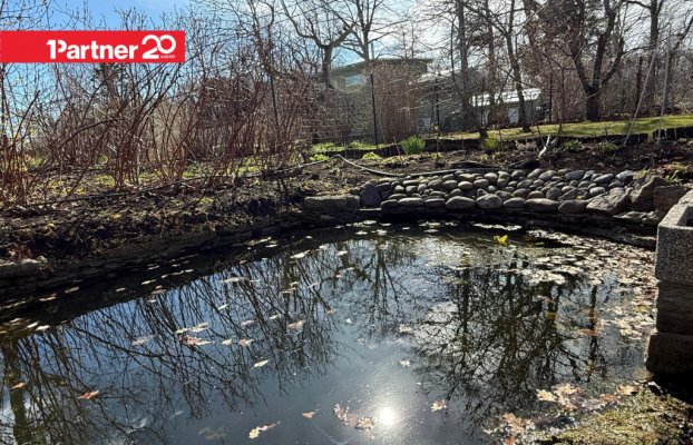 картина 32 of 38