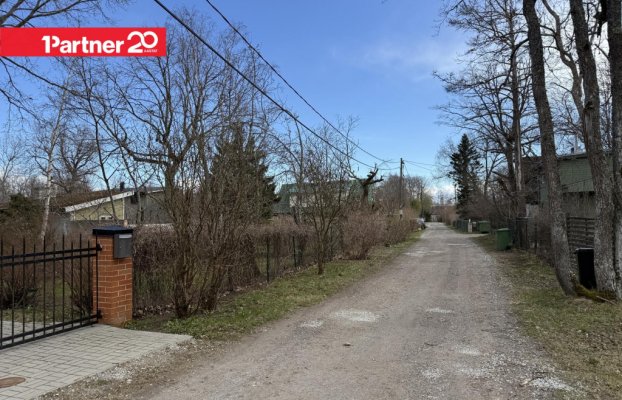 картина 37 of 38