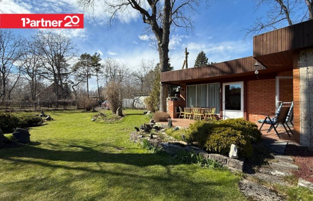 картина 4 of 38