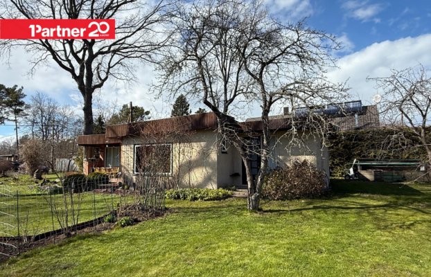 картина 35 of 38