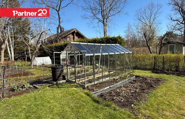 картина 34 of 38