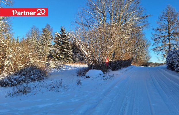 картина 1 of 17