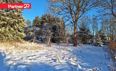 Image of Elektriühendusega kinnistu, projekteerimistingimused väljastatud