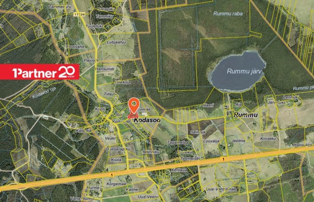 картина 14 of 17