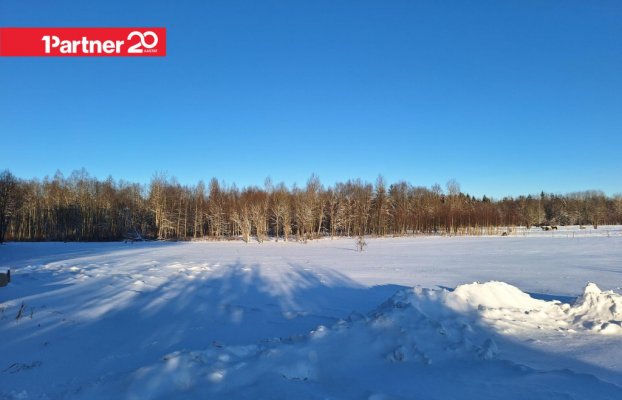 картина 10 of 17