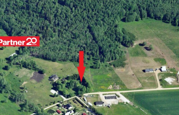 картина 16 of 17