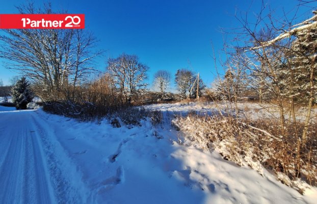 картина 9 of 17