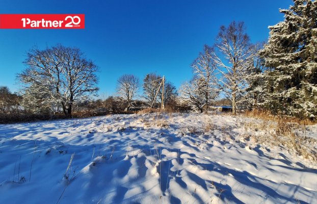 картина 6 of 17