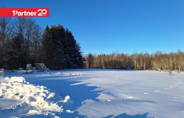 картина 12 of 17