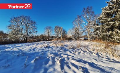 Image of Elektriühendusega kinnistu, projekteerimistingimused väljastatud