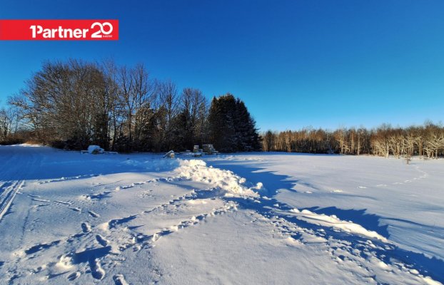 картина 11 of 17