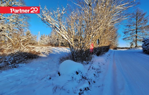 картина 2 of 17