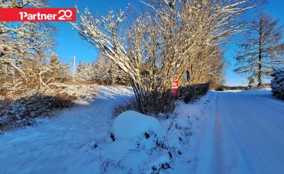 Image of Elektriühendusega kinnistu, projekteerimistingimused väljastatud