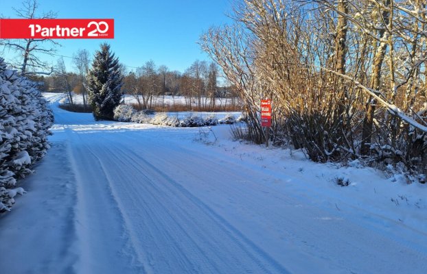 картина 4 of 17