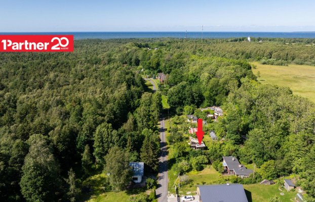 картина 1 of 12