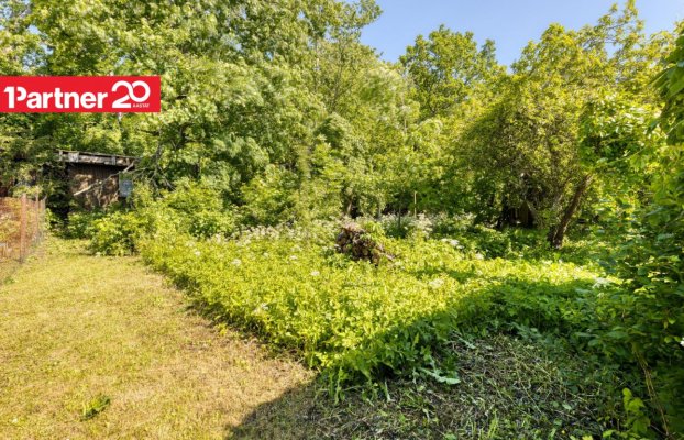 картина 9 of 12