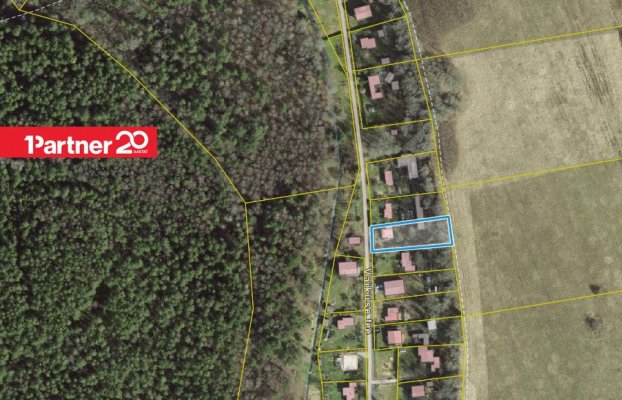 картина 5 of 12