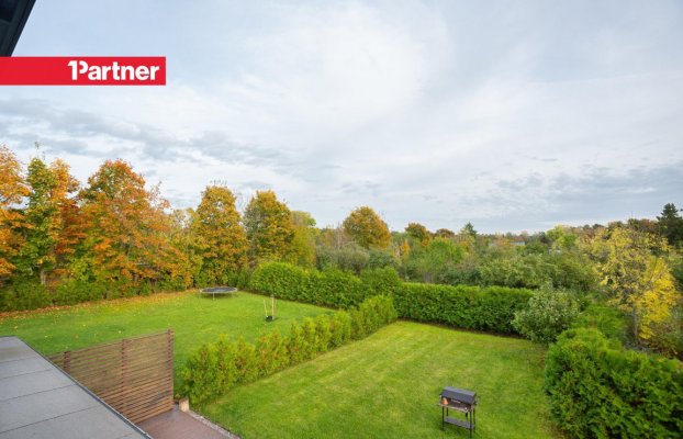 Image 24 of 39