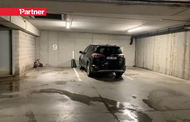 Image 19 of 22