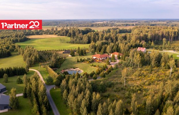 картина 40 of 40