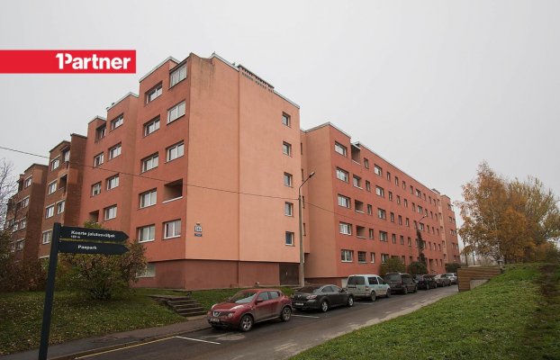 Image 19 of 20